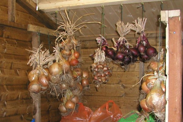 Кракен не заходит